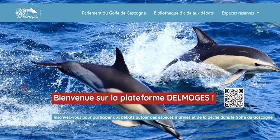Comment limiter les captures accidentelles de dauphins ? Concertation citoyenne lancée dans le cadre du projet Delmoges – 1