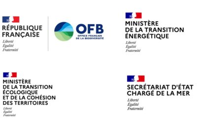L’Observatoire de l’éolien en mer lance d’un appel à projets de recherche