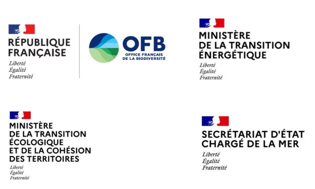 L’Observatoire de l’éolien en mer lance d’un appel à projets de recherche