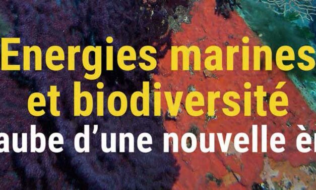 MerVeille Energie #10 – Energies marines et biodiversité