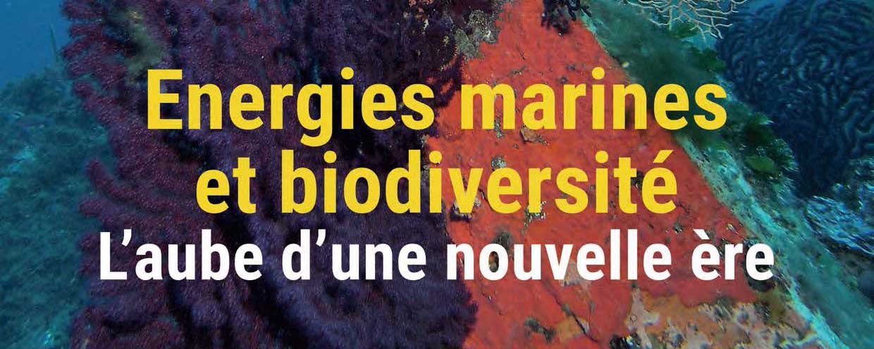 MerVeille Energie #10 – Energies marines et biodiversité