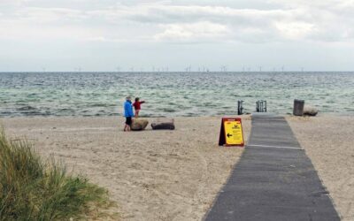 Chauve qui peut !  Le ciel s’obscurcit pour le parc danois Aflandshage