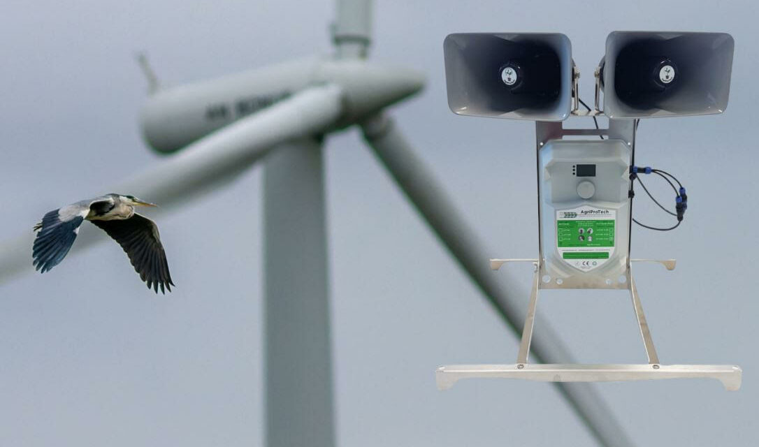 L’AMI du consortium « Armorique Energie Marine » mise sur l’avenir