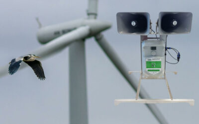 L’AMI du consortium « Armorique Energie Marine » mise sur l’avenir