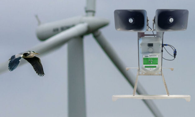 L’AMI du consortium « Armorique Energie Marine » mise sur l’avenir