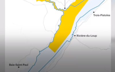 Des zodiacs à 45 km/h dans le parc marin du Saguenay–Saint-Laurent