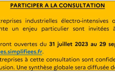 Lancement d’une consultation sur le prix de l’électricité pour l’industrie en France