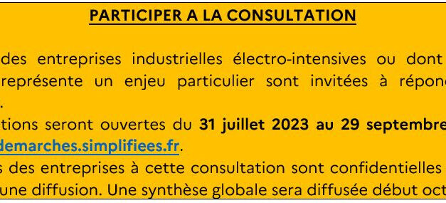 Lancement d’une consultation sur le prix de l’électricité pour l’industrie en France
