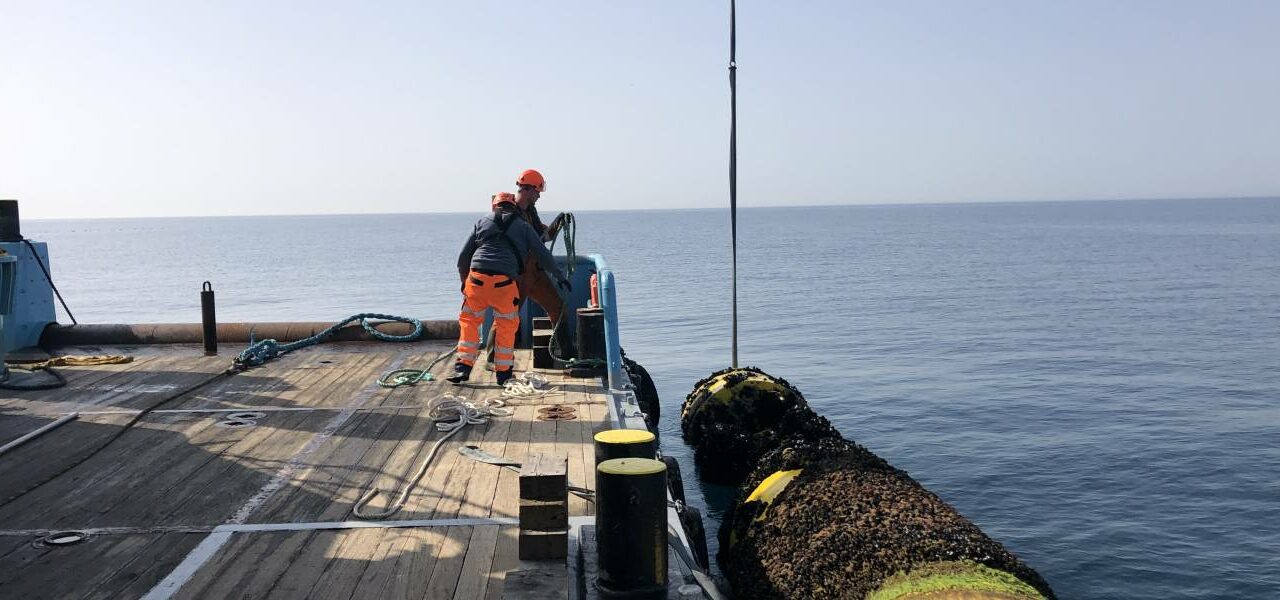 Méditerranée EFGL : La bouée d’Ecocean a été retirée