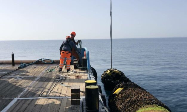 Méditerranée EFGL : La bouée d’Ecocean a été retirée