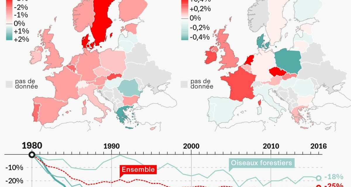 La troisième mouture de la Stratégie nationale biodiversité (SNB3) ou biodiversité 2030 a été dévoilée.