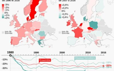 La troisième mouture de la Stratégie nationale biodiversité (SNB3) ou biodiversité 2030 a été dévoilée.