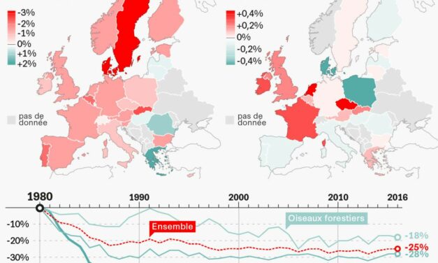 La troisième mouture de la Stratégie nationale biodiversité (SNB3) ou biodiversité 2030 a été dévoilée.