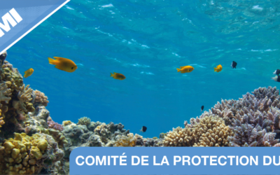 L&rsquo;OMI rate le cap du scénario  1,5 ° C conformément aux Accords de Paris