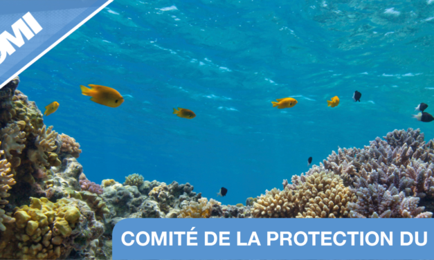 L&rsquo;OMI rate le cap du scénario  1,5 ° C conformément aux Accords de Paris