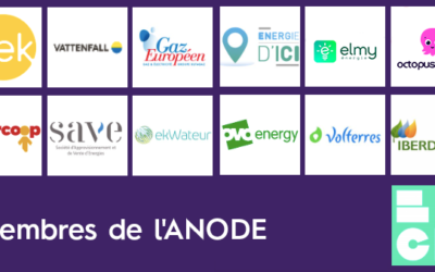 Le rapport publié sur des abus de l’utilisation de l’ARENH fait des vagues. L’Association Nationale des Opérateurs Détaillants en Énergie se rebiffe !