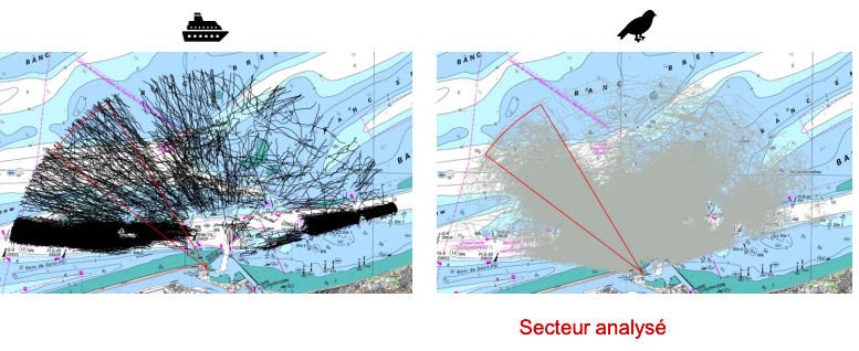 Parc éolien en mer de Dunkerque : Après l’exposé des motifs, toutes les requêtes ont été rejetées