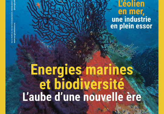 La troisième mouture de la Stratégie nationale biodiversité (SNB3) ou biodiversité 2030 a été dévoilée.