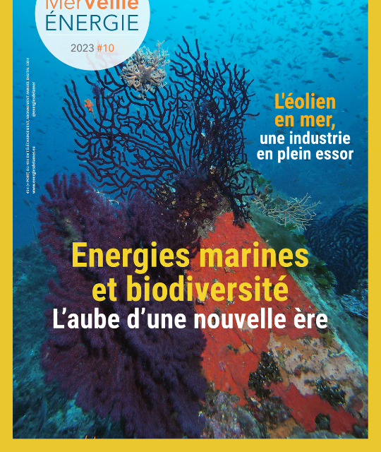 La troisième mouture de la Stratégie nationale biodiversité (SNB3) ou biodiversité 2030 a été dévoilée.