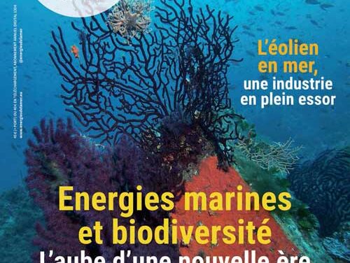 energiesdelamer.eu et MerVeille Energie veillent pour vous et vous attendent le 4, 5 et 6 septembre à La Baule