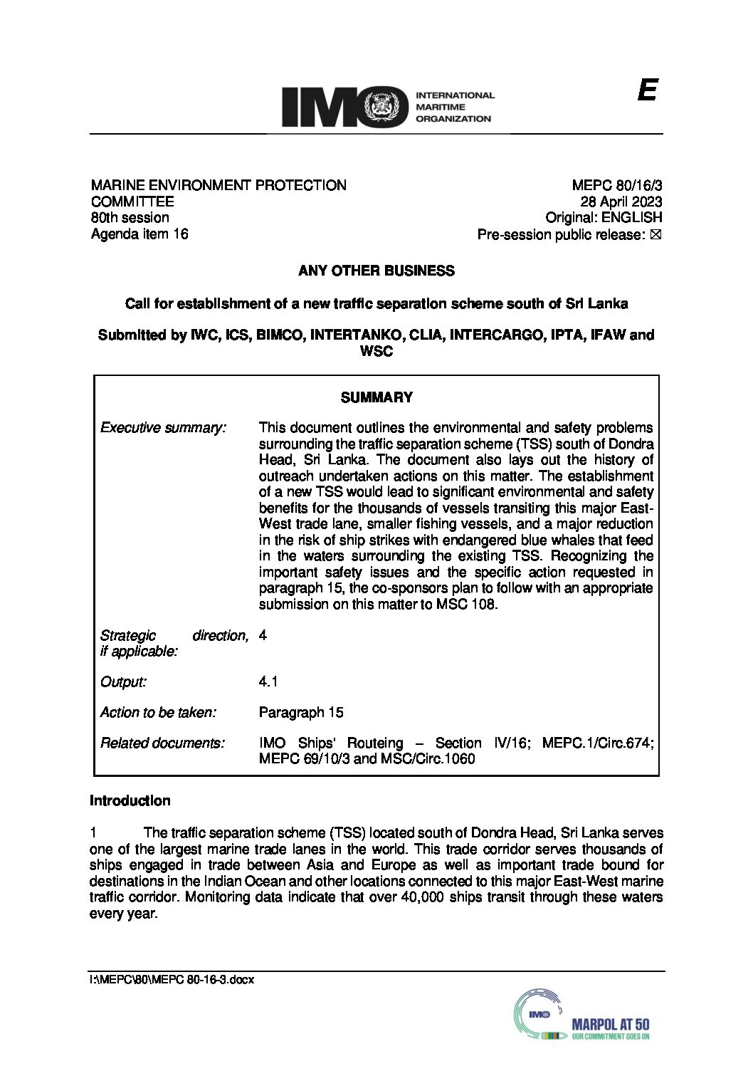 CGMA a rejoint les engagements d’Armateurs de France conclus avec des ONG pour la protection des cachalots et des baleines bleues