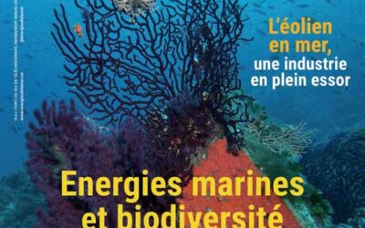 MedPAN propose de partager connaissances et expertises relatives au tourisme dans les Aires Marines Protégées