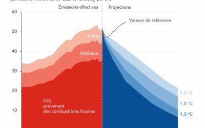 Bonne nouvelle, mais contrastée pour les émissions de gaz à effet de serre