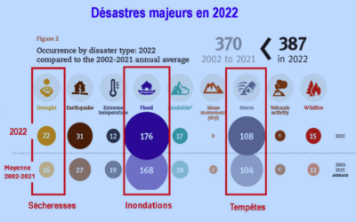 « Une grande compagnie pétrolière peut-elle véritablement sortir du monde du pétrole ? » analyse de Robert Bell du Brooklyn College de la City University of New York, pour energiesdelamer.eu – 1