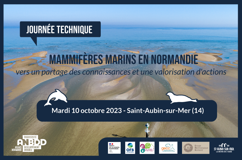 Journée technique : mammifères marins en Normandie : vers un partage des connaissances et une valorisation d’actions