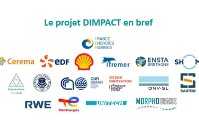 De nouveaux outils pour améliorer le dimensionnement des éoliennes  flottantes face aux chargements dûs au déferlement