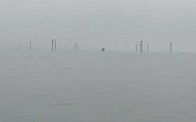 Eolien en mer : le parc de Saint-Nazaire mis à l’arrêt depuis le 1er décembre