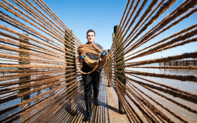 Avec le Projet RECYCONCH, la conchiliculture fait un nouveau pas vers le développement durable