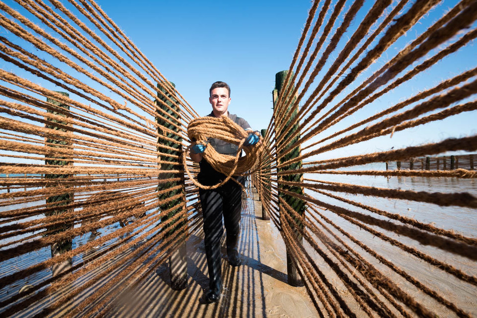 Avec le Projet RECYCONCH, la conchiliculture fait un nouveau pas vers le développement durable