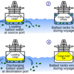 Les eaux de ballast et l’éolien flottant