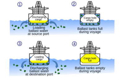 Les eaux de ballast et l’éolien flottant