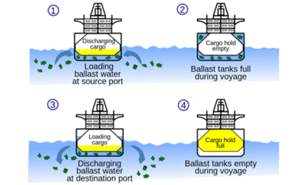 Les eaux de ballast et l’éolien flottant