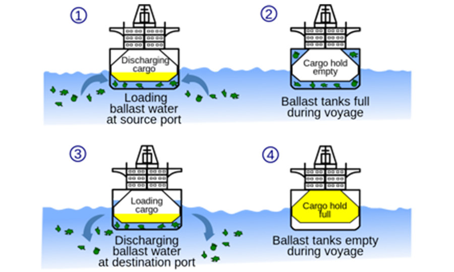 Les eaux de ballast et l’éolien flottant