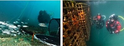 ECOCEAN lève 1,2 M€ auprès de La Banque des Territoires