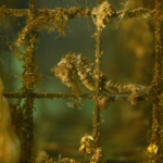 ECOCEAN lève 1,2 M€ auprès de La Banque des Territoires
