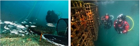 ECOCEAN lève 1,2 M€ auprès de La Banque des Territoires