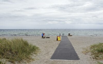 Les chauves-souris « plantent » le projet Aflandshage au Danemark, mais peut-être un espoir