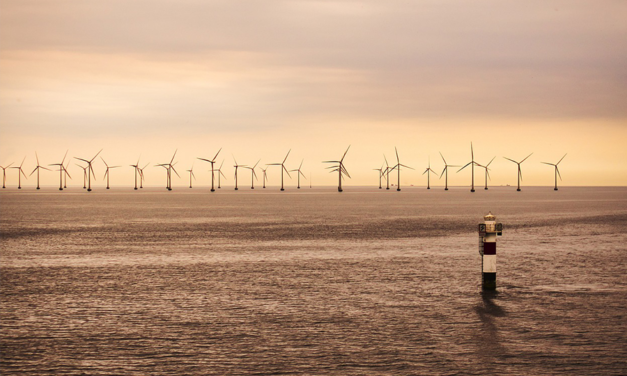 Premier versement aux pêcheurs et aux communes du littoral ligérien de la taxe éolienne en mer