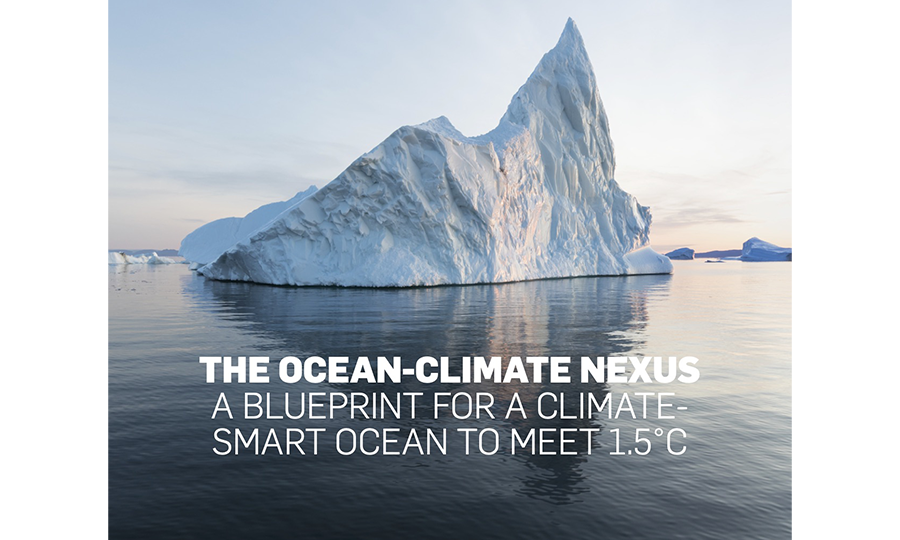 COP28 , Séverine Michalak, juriste, spécialiste des EMR est intervenue à « Ocean Stewardship Coalition » pour MerVeille Energie