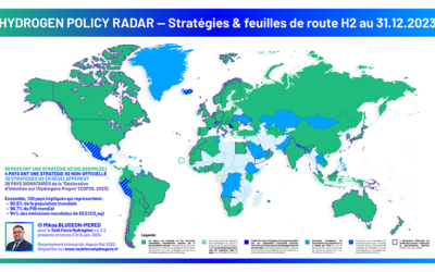 Mikaa Blugeon-Mered (MEDEF International) : « L’hydrogène vert au secours des EMR et des ports »