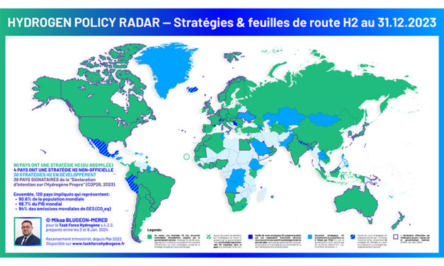 Mikaa Blugeon-Mered (MEDEF International) : « L’hydrogène vert au secours des EMR et des ports »