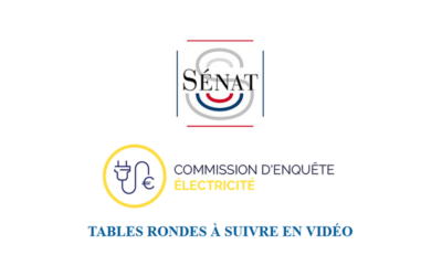 Sénat : tables rondes sur la production, la consommation et le prix de l’électricité