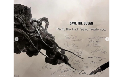 Traité sur la haute mer : Le Chili est le premier pays à le ratifier