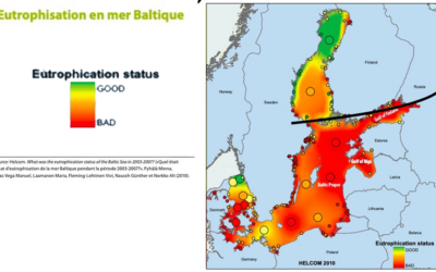 Est-ce que les parcs en mer d’OX2 peuvent aider à oxygéner la mer Baltique ?