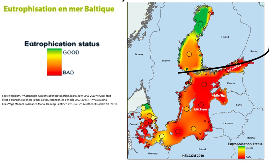 Est-ce que les parcs en mer d’OX2 peuvent aider à oxygéner la mer Baltique ?