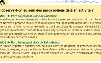 France Energies Marines publie avec le soutien du SER et de France Renouvelables un aperçu des pressions identifiées pour l’éolien en mer